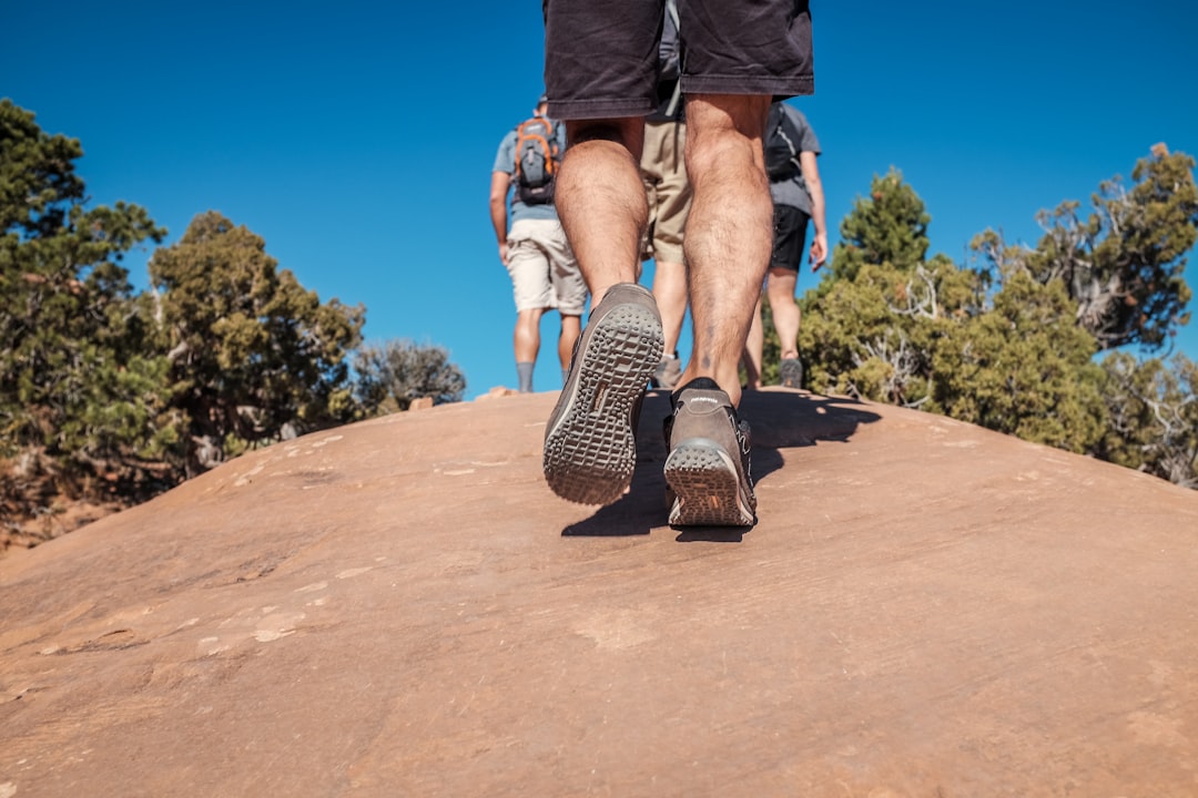 Chaussures de randonnée en montagne